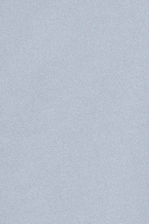 Camisa lisa oxford azul celeste con logo bordado Polo Club - Image 7