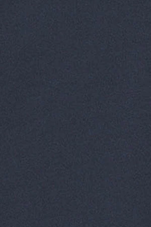 Camisa lisa oxford azul marino con logo bordado Polo Club - Image 9