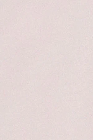 Camisa lisa oxford rosa con logo bordado Polo Club - Image 10