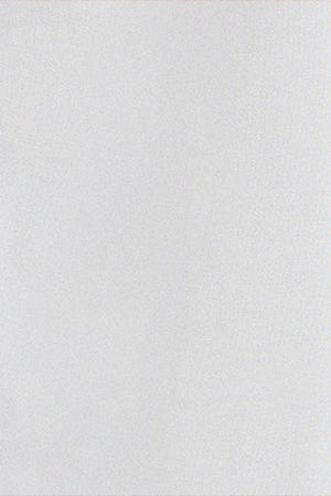 Camisa lisa oxford blanca con logo bordado Polo Club - Image 6