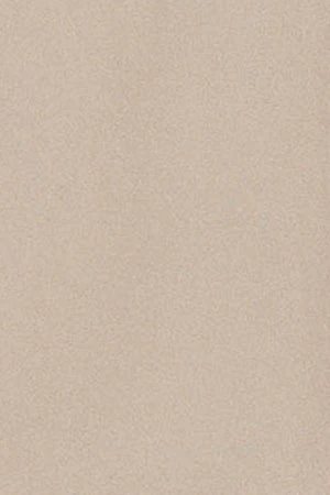 Camisa loose fit color arena con logo block Polo Club - Image 12