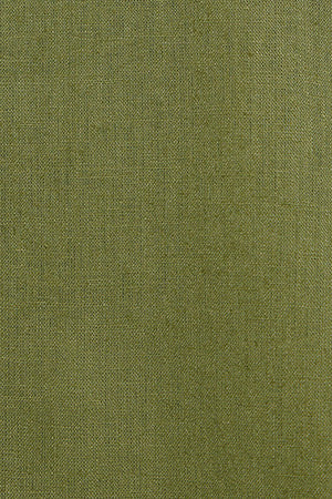 Camisa caqui de cuello mao de lino y algodón con bordado Rigby Go - Image 9