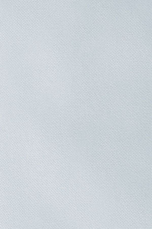 Camisa oxford azul claro de corte regular con bordado Rigby Go - Image 11
