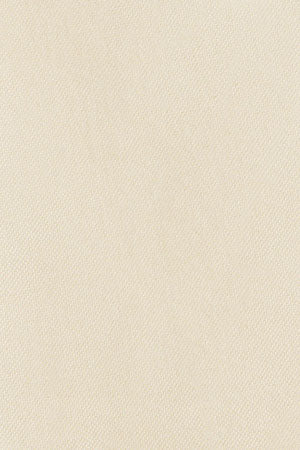 Camisa Oxford amarilla con logo Rigby Go - Image 11