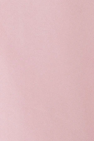 Camisa de popelín rosa con corte slim y bordado Rigby Go - Image 9