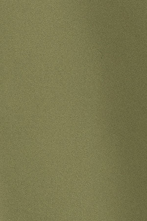 Camisa de popelín verde hoja con corte slim y bordado Rigby Go - Image 11