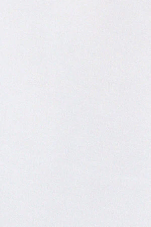 Camisa oxford blanca con logo bordado Rigby Go - Image 8