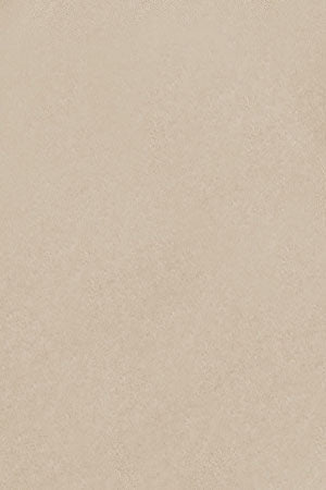 Camisa de popelín Slim Fit beige con bordado Rigby Go - Image 11