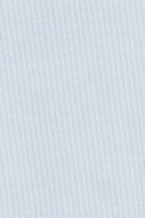 Camisa raya yale azul claro con logo bordado Rigby Go - Image 9