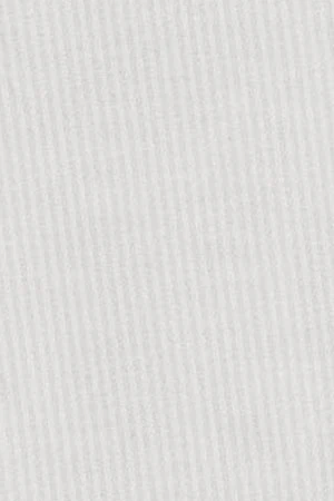 Camisa raya yale gris claro con logo bordado Rigby Go - Image 7