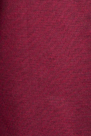 Camisa oxford Rio burdeos con bordado Rigby Go - Image 5