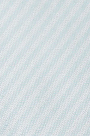 Camisa de rayas azul celeste Oxford y bordado Polo Club - Image 12