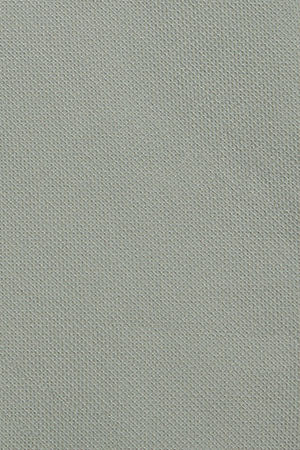 Camisa slim Sefora verde claro con logo Rigby Go - Image 12