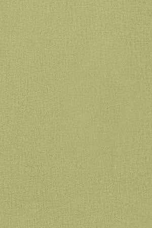 Camisa de lino verde con detalle bordado - Image 12