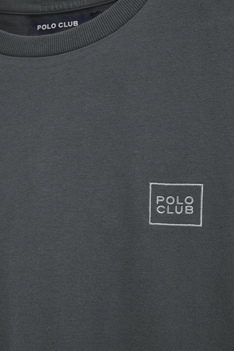 Camiseta gris piedra de corte recto con parche Polo Club - Image 7