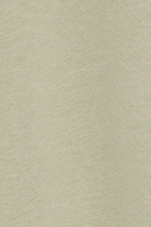 Camiseta Apolo garment dyed color piedra con logo Polo Club aterciopelado - Image 11