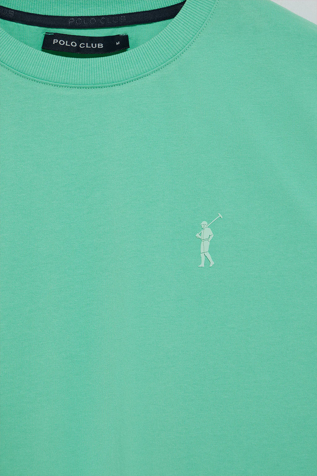 Camiseta aguamarina de cuello redondo y Big Rigby Go engomado - Image 9