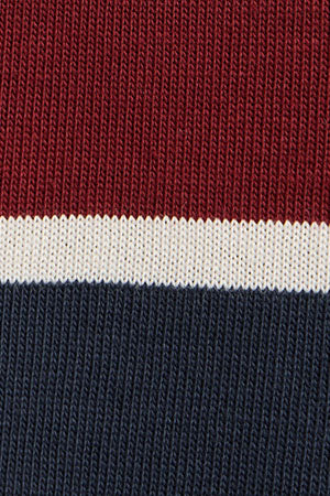 Camiseta Carter con rayas azul marino y granate con parche personalizado Polo Club - Image 9