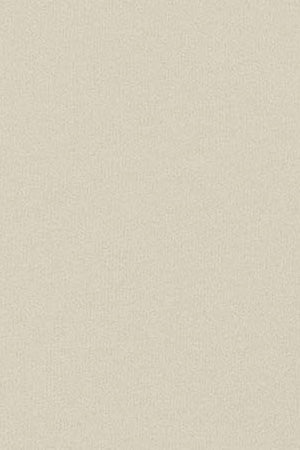 Camiseta Diamond beige con print foil Polo Club - Image 10