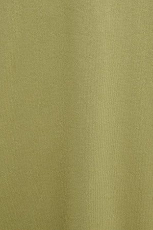 Camiseta verde hoja de manga corta con bordado Established 2012 Polo Club - Image 11