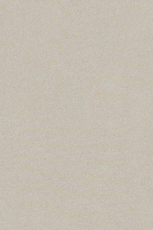 Camiseta de manga larga Hermes beige con logo engomado Polo Club - Image 7
