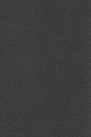 Camiseta JK gris oscuro con logo contrastado Polo Club - Image 11