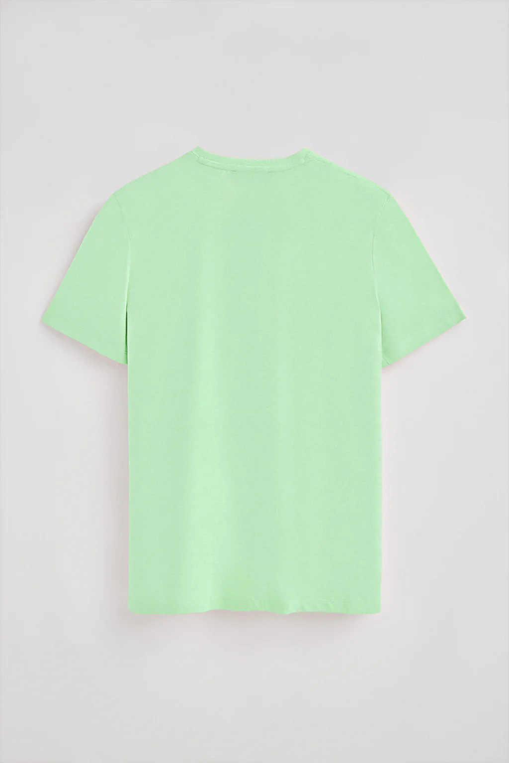 Camiseta color menta de manga corta y cuello de pico con bordado Rigby Best - Image 7