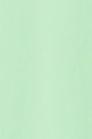 Camiseta color menta de manga corta y cuello de pico con bordado Rigby Best - Image 9
