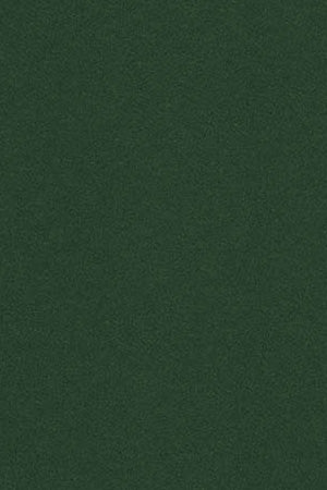 Camiseta verde botella con cuello redondo y bordado Rigby Go - Image 7