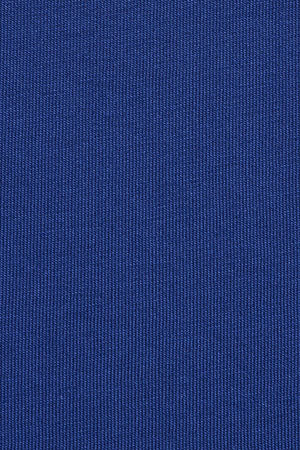 Camiseta azul royal de manga corta y bordado Rigby Go - Image 10