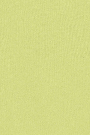 Camiseta verde lima de cuello redondo con bordado Rigby Go - Image 10
