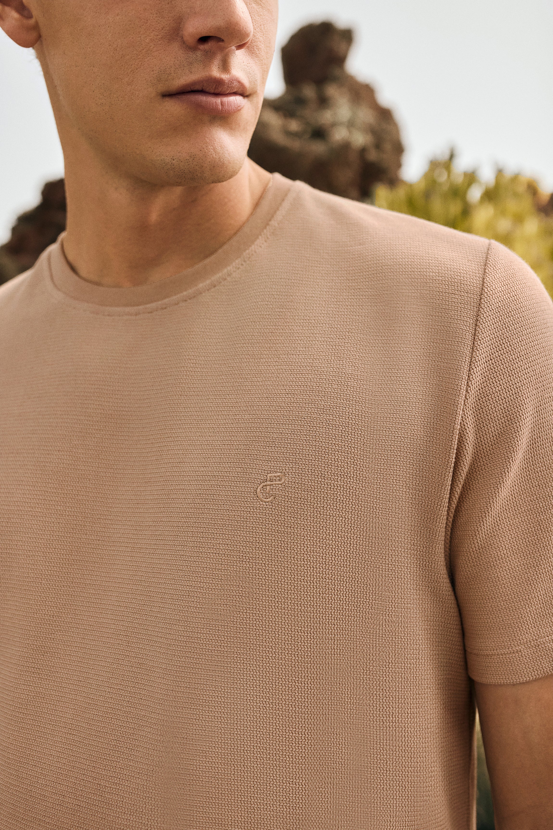 Camiseta marrón claro Sami con monograma bordado Polo Club - Image 2