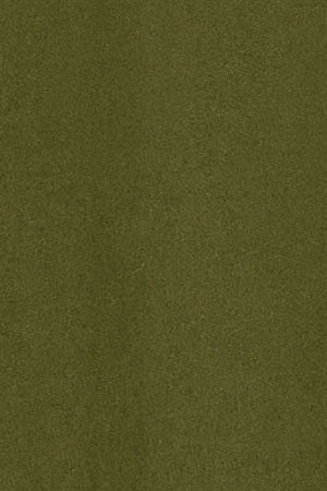 Camiseta verde caqui de manga corta y cuello redondo con logotipo Polo Club - Image 11