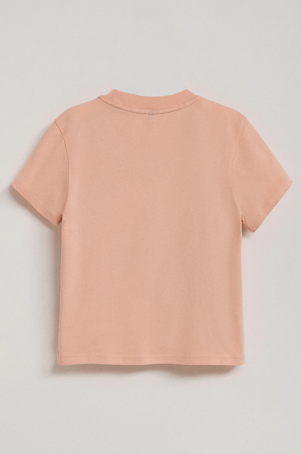 Camiseta Tori boxy fit rosa palo con print engomado Regular Block Polo Club - Image 8