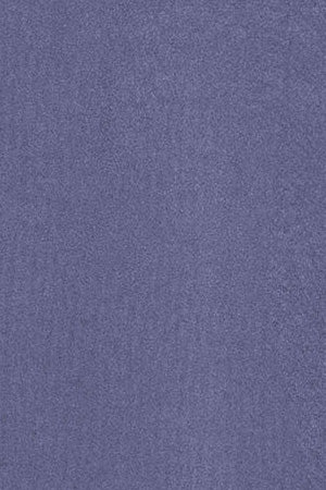 Camiseta azul océano garment dye con logo engomado Polo Club - Image 7