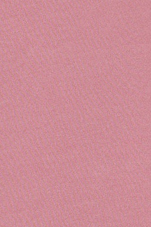 Camiseta rosa empolvado garment dye con detalle Polo Club - Image 10