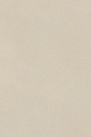 Chaleco beige ligero con capucha fija y detalles Polo Club - Image 4