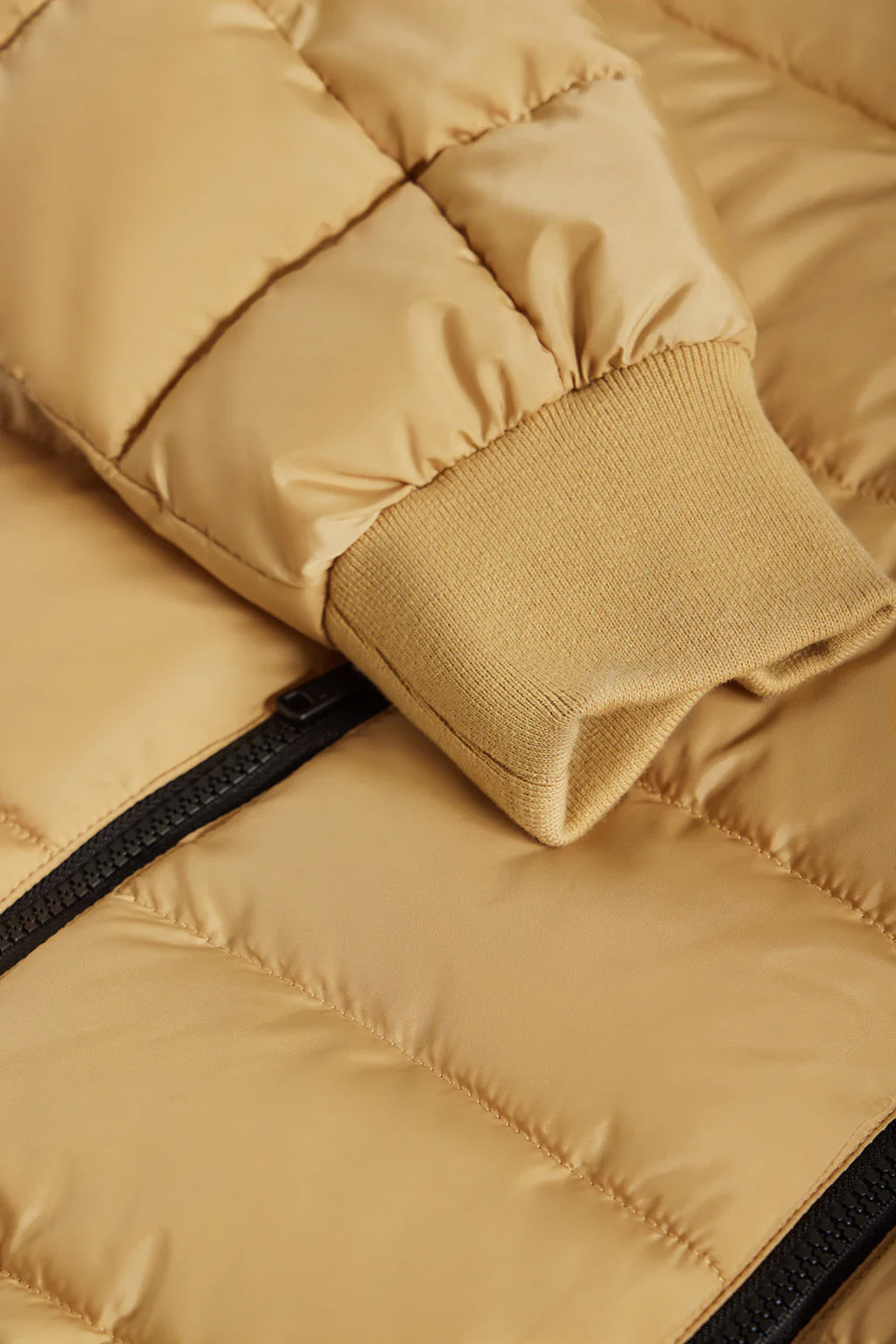 Chaqueta Dolomite acolchada color camel con parche Polo Club - Image 7