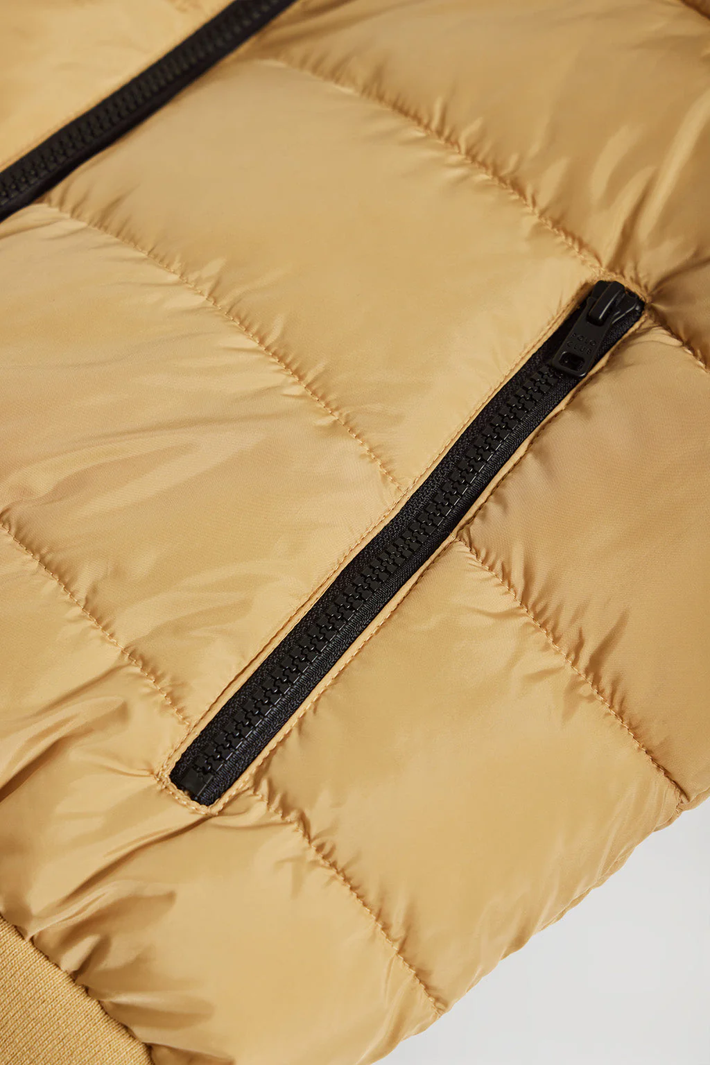 Chaqueta Dolomite acolchada color camel con parche Polo Club - Image 8