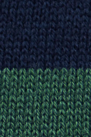 Jersey de rayas azul marino y verde botella con cuello polo y parche Polo Club - Image 11