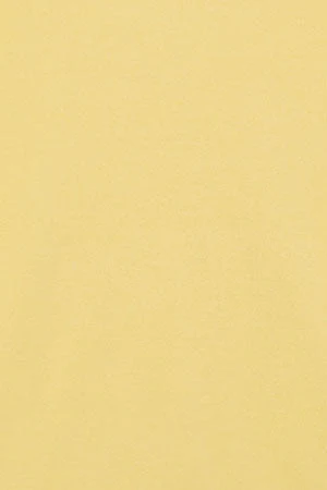 Jersey básico de cuello de pico amarillo suave con logo Rigby Go - Image 12