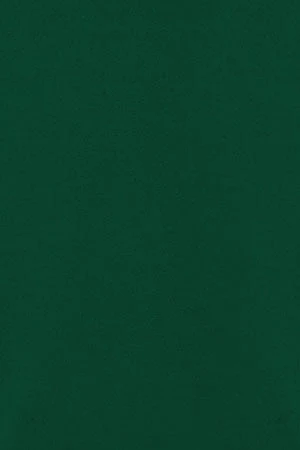 Jersey verde botella de punto de cuello subido y cremallera y logo Rigby Go - Image 9