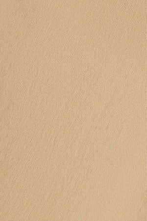 Pantalón chino Slim fit color arena con detalle Polo Club - Image 10