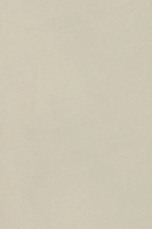 Pantalón Sunset de cintura elástica en beige - Image 12