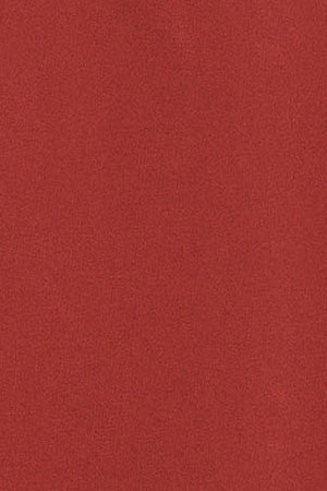 Polo color rojizo Esko con cremallera y monograma bordado - Image 9