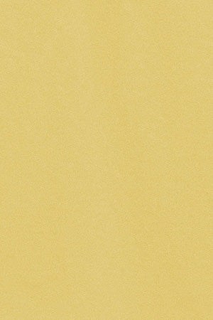 Polo Pereira amarillo suave lodo de cinco botones con bordado Rigby Go - Image 9