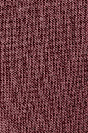 Polo rosa vino teñido en prenda con logo bordado Rigby Go - Image 11