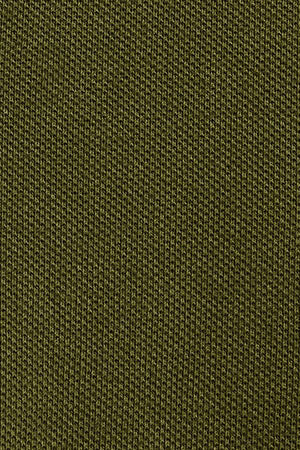 Polo verde musgo teñido en prenda con logo bordado Rigby Go - Image 10