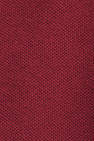 Polo rojo quemado de corte slim con bordado Rigby Go - Image 11