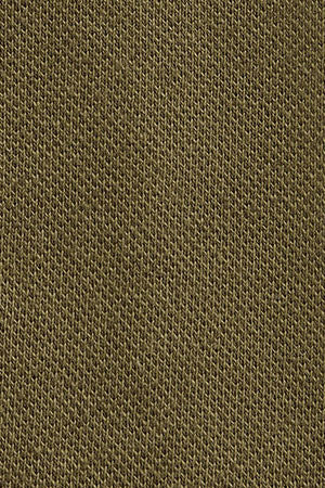 Polo cotolino caqui oscuro con bordado Rigby Go - Image 11
